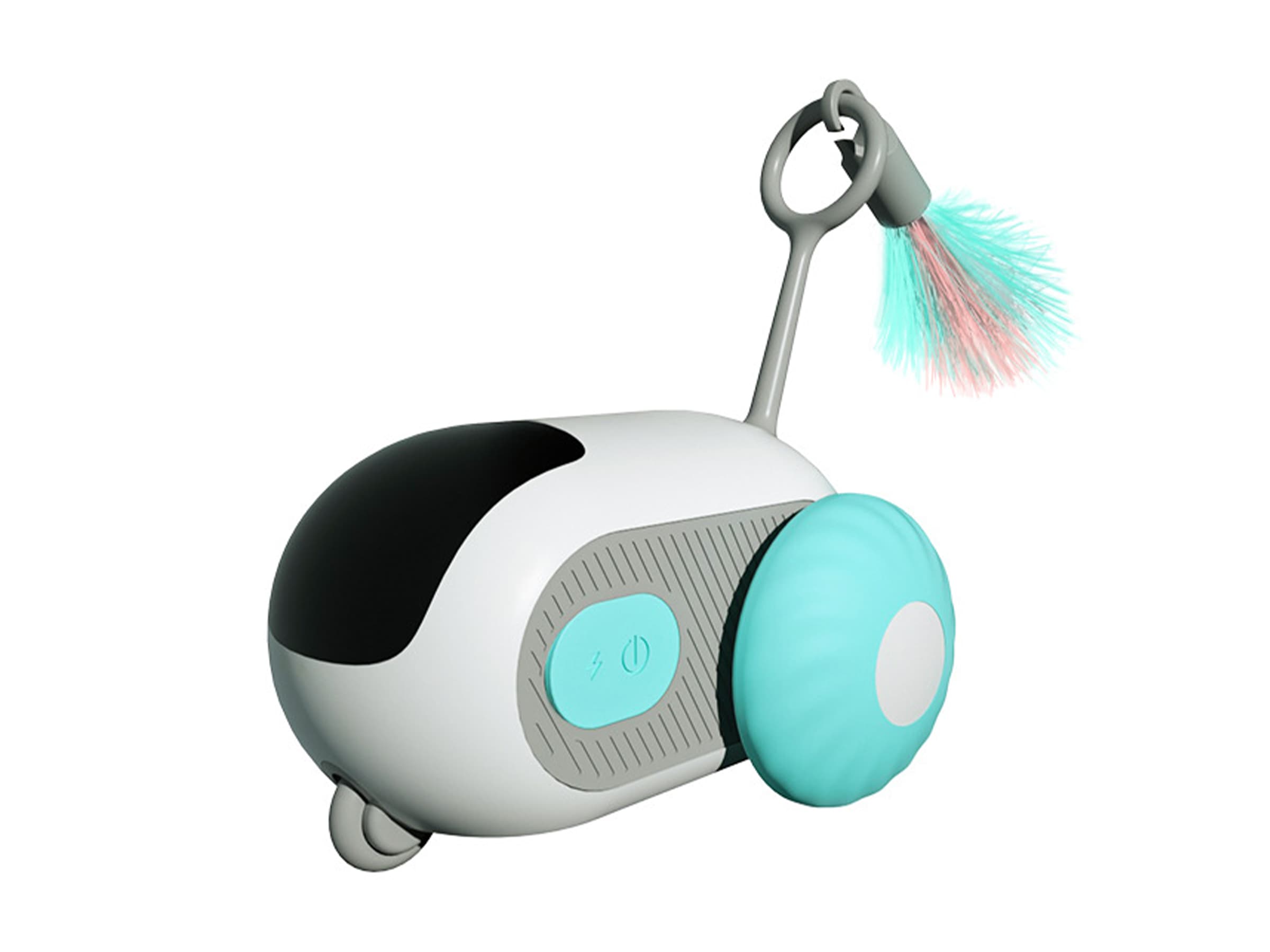 Pet Toy