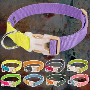 breakaway dog collar